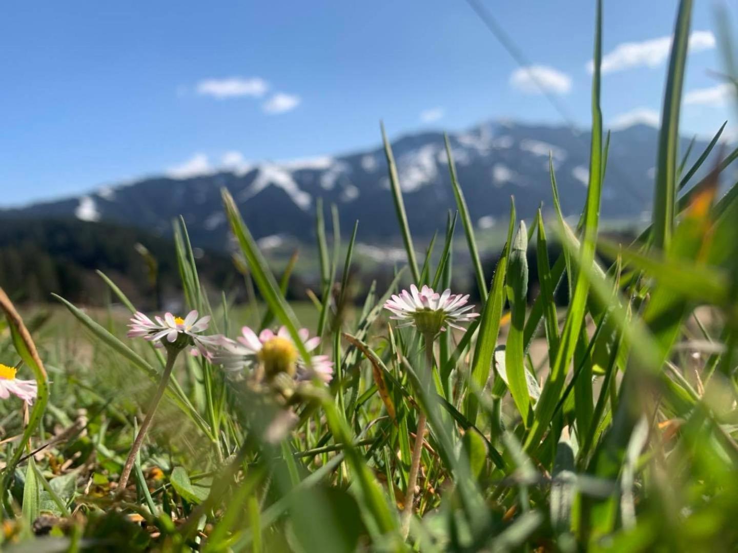 Appartement Alpenhof Wildschoenau Niederau Luaran gambar