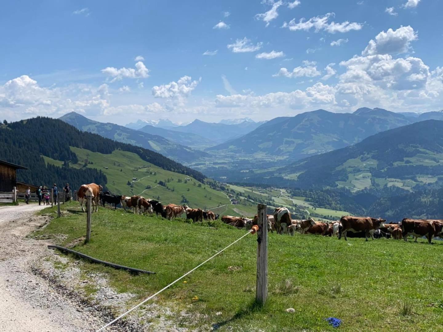 Appartement Alpenhof Wildschoenau Niederau Luaran gambar